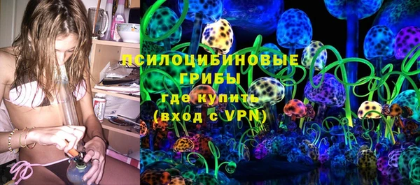 прущие грибы Алексеевка