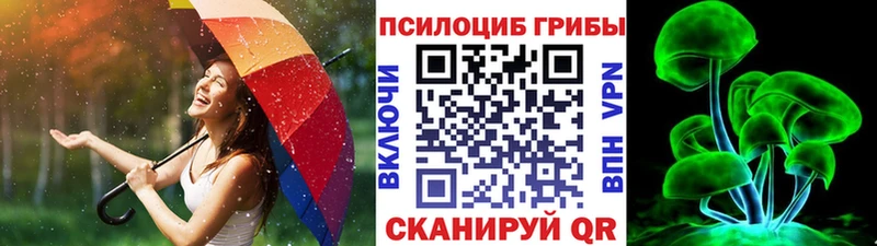Галлюциногенные грибы Cubensis Бугуруслан